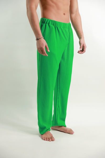 SS22 Parakeet Green Pleated Trousers